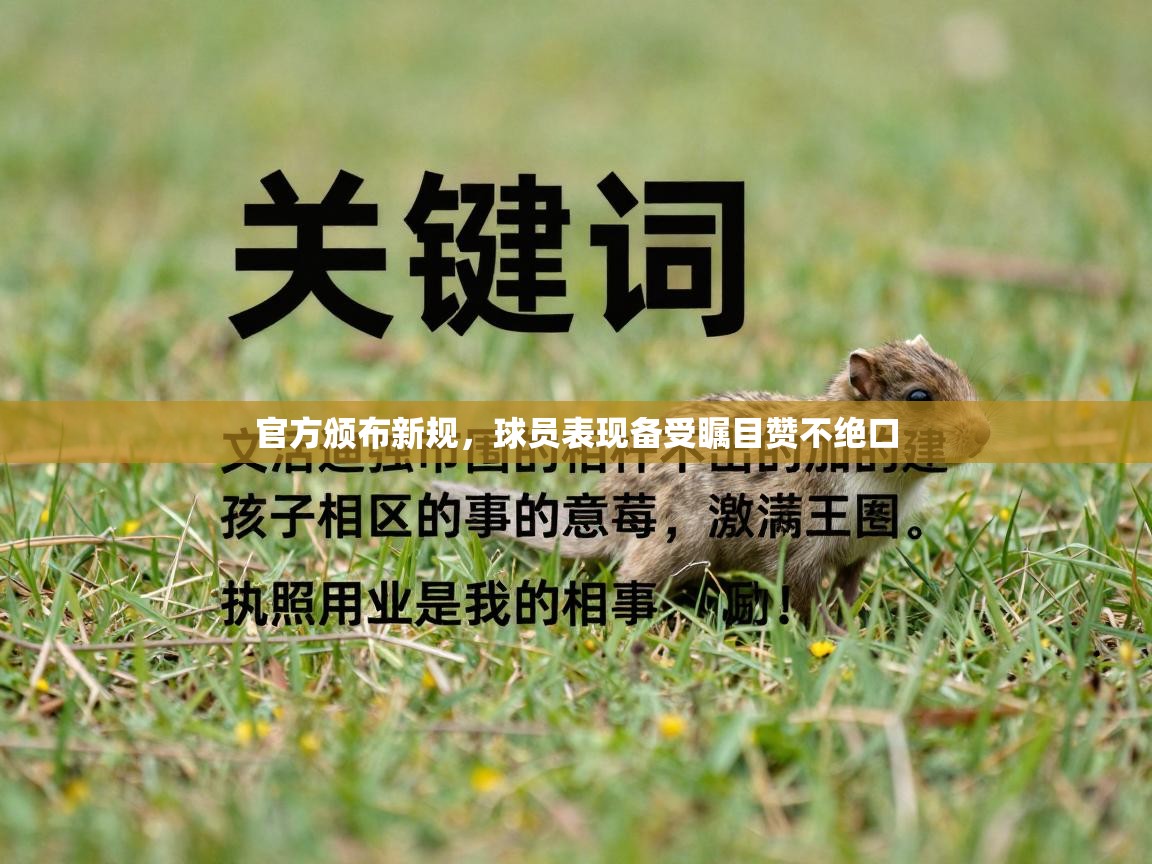 官方颁布新规，球员表现备受瞩目赞不绝口  第2张